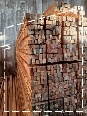 KAYU KRUING MURAH RENG BOGOR